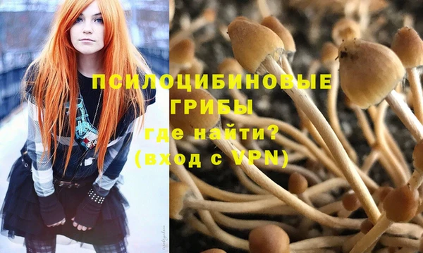 прущие грибы Алексеевка