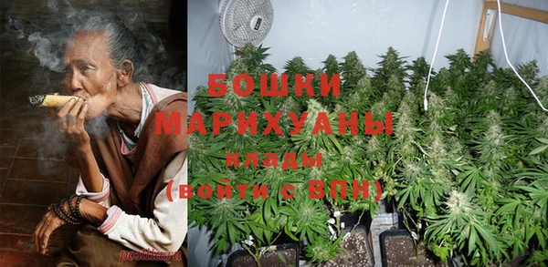 PSILOCYBIN Алексин