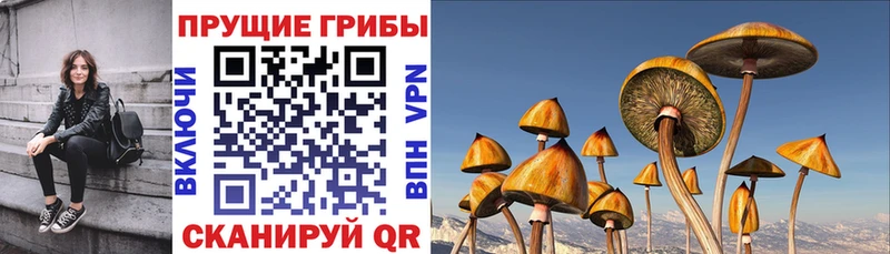 Галлюциногенные грибы мицелий  закладки  MEGA ТОР  Белгород 